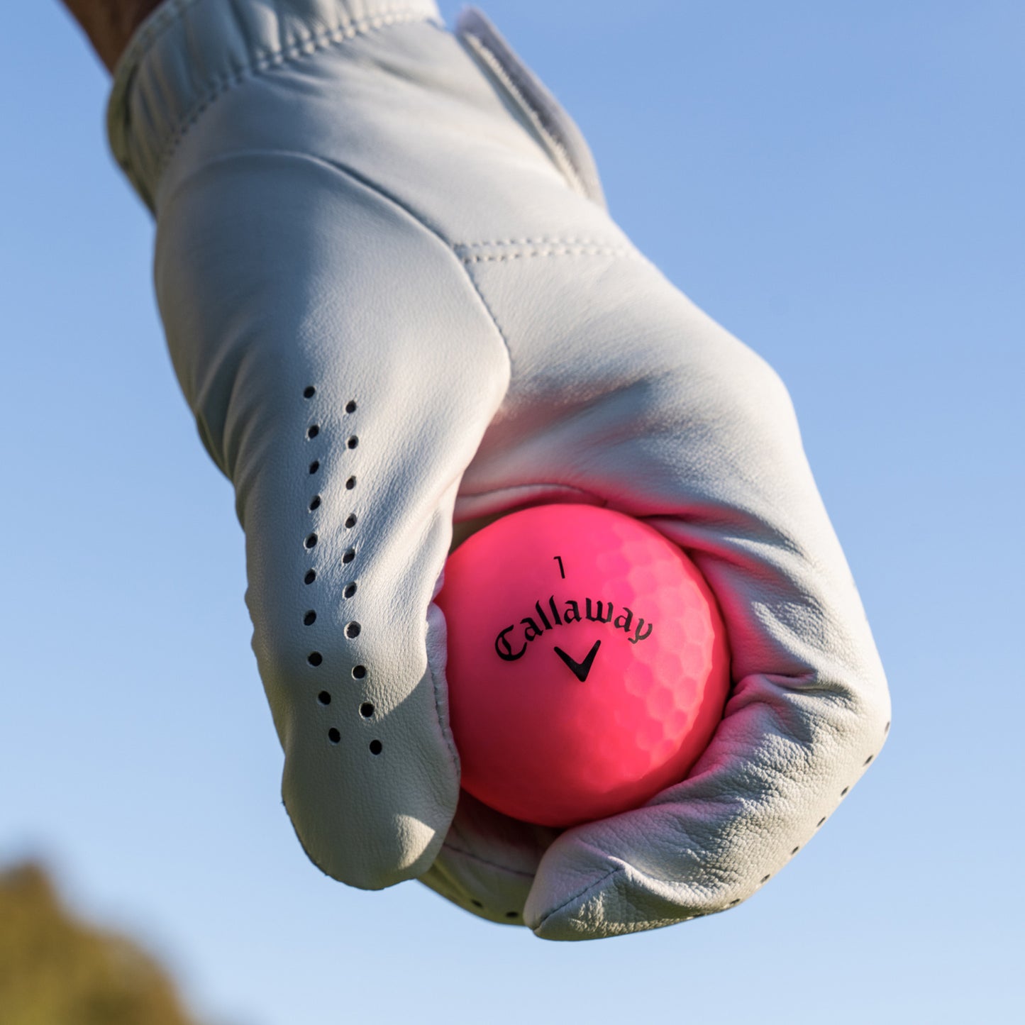 Calaway Supersoft Pink Matte Finish